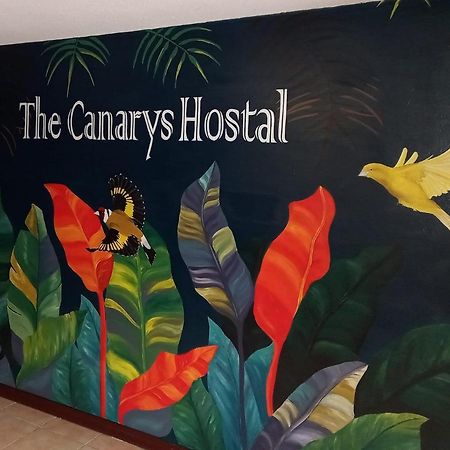 The Canarys Hostal Santa Rosa de Cabal Exterior foto